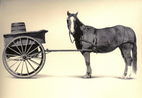 Photo. The cart is placed before the horse, who also looks confused.